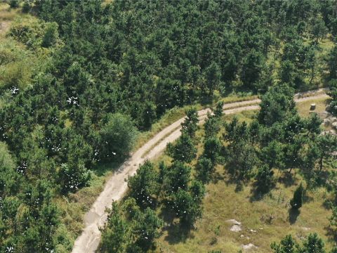 山东青岛城阳区白云山公园