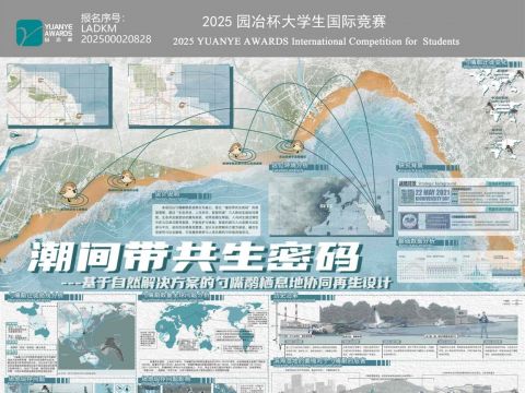 潮间带共生密码——基于自然解决方案的勺嘴鹬栖息地协同再生设计