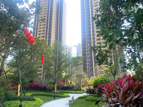 容桂碧桂园凤凰湾项目