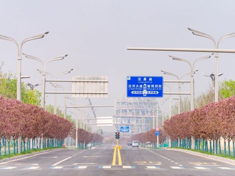 “一路一花， 一街一景” 泾河新城示范道路绿化景观项目