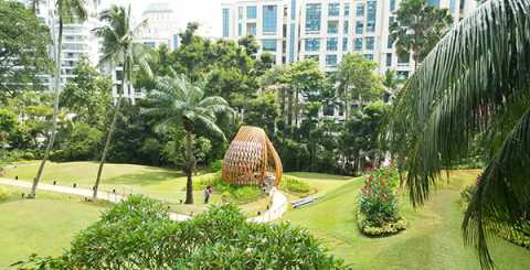 THE ORCHID_EXQUISITE LANDSCAPE