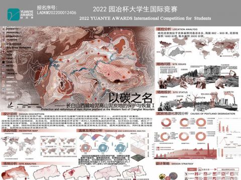 以碳之名——长白山西麓哈泥高山泥炭地的保护与恢复