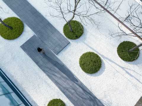 成都中南·樾府