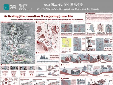 Activating the venation & regaining new life