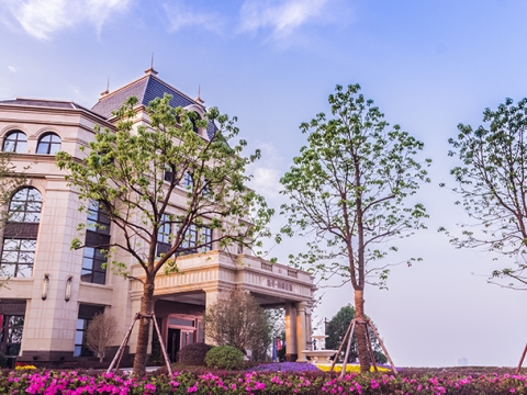 御湖庄园别墅景观项目