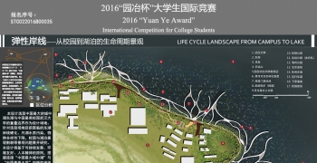 弹性岸线-从校园到湖泊的生命周期景观