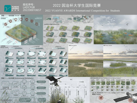 “碳”望——碳中和目标下的若尔盖生态修复