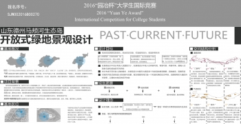 山东德州马颊河生态岛开放式绿地景观设计