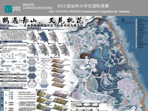 鹤遇青山，又见桃花——生物多样性保护理念下的盐城候鸟栖息地