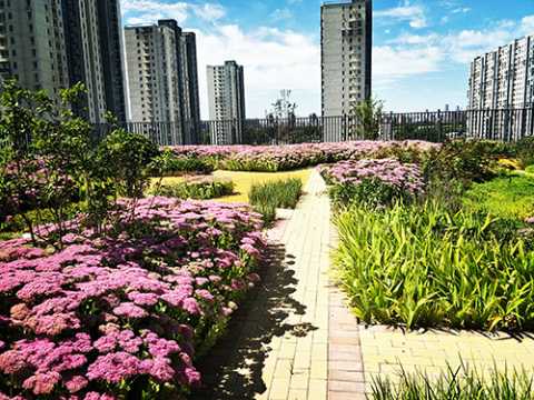 北京工业大学附属中学低碳屋顶花园