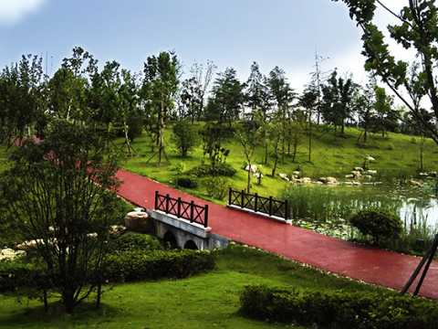 滨湖新区金斗公园四期景观绿化设计