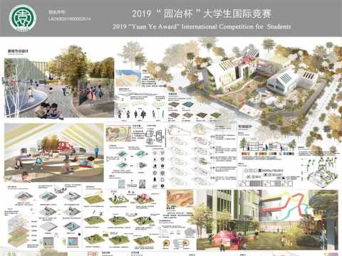 随光而行，兀自生长