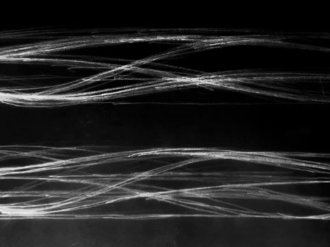 琶洲港澳客运口岸