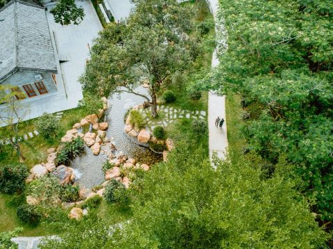 广州增城区山茶属植物主题公园