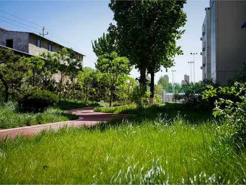 山东省邮电学校教学区及动力环境改造工程