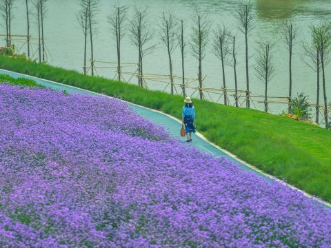 佛山西江产业新城景观设计