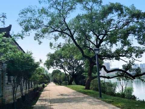 衡阳东洲岛综合开发项目