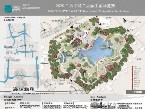 海绵细胞——城市公园景观改造