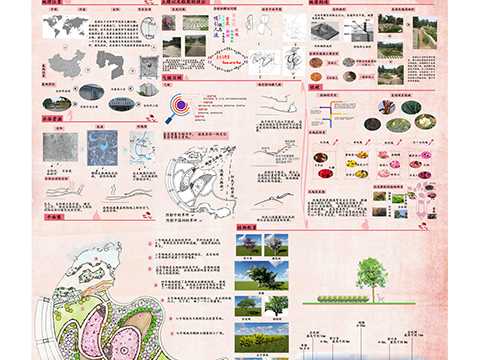 Beauty and beast -----安阳易园玫瑰园改造