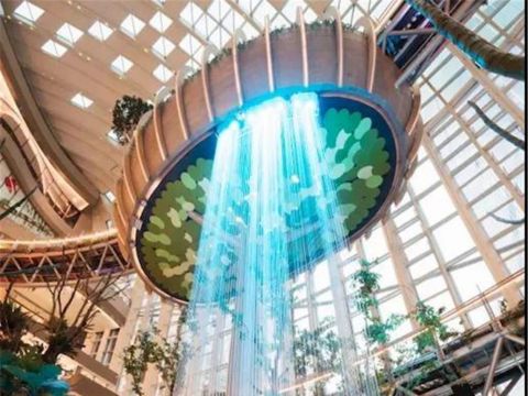 重庆光环购物公园室内沐光森林植物园