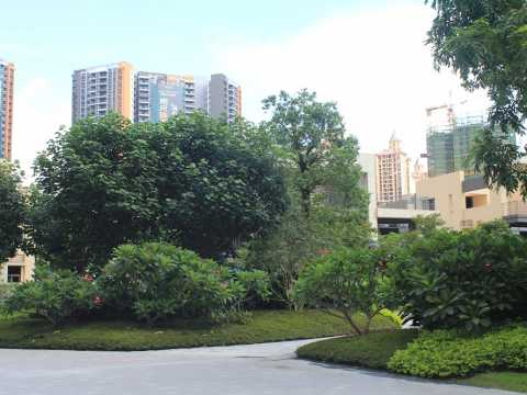 雅居乐新城十六期二组团低层及三、四组团高层住宅绿化工程