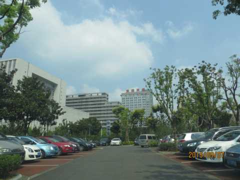 合肥市政务综合楼室外停车场改造及绿化提升工程