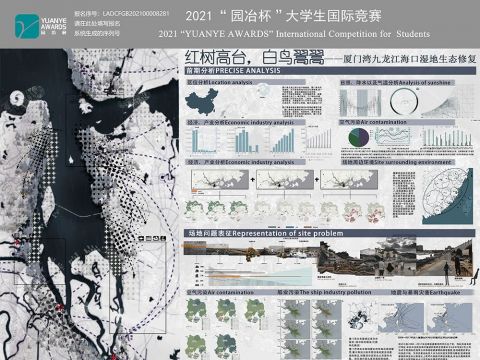 红树高台，白鸟翯翯——厦门湾九龙江海口湿地生态修复