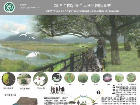 自然与人的共生-针对重庆三峡水库为例的生态修复设计