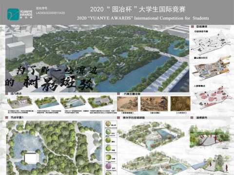 为了那一丛潭边的树影斑驳