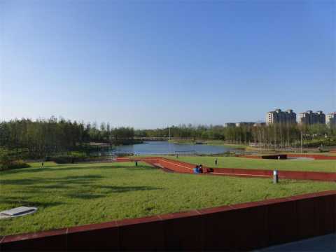 城市中轴线景观绿化工程BT项目B、C、D区工程