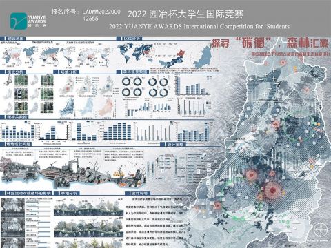 探寻“碳循”，森林汇碳——碳中和理念下内蒙古根河市森林生态修复设计