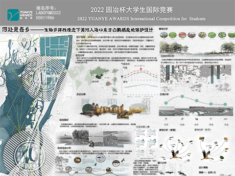 何处是吾乡——生物多样性理念下黄河入海口东方白鹳栖息地保护设计