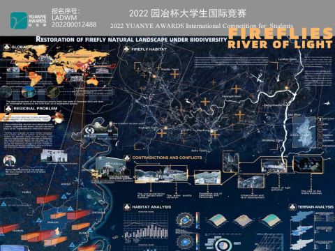 Fireflies River of Light