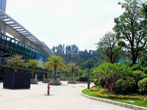 第七标段 邮轮母港片区综合提升改造（绿化提升）