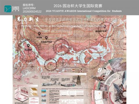 苇力新生——干旱冲击下南洞庭湖的湿地修复与芦苇产业转型