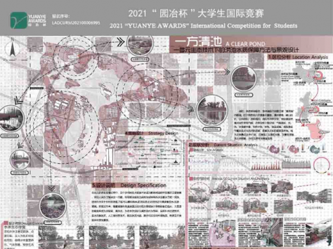 一方清池——多元生态技术下的涝池水质保障方法与景观设计