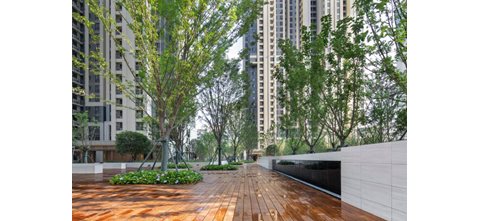 归元寺项目 8A 地块室外景观及小市政工程