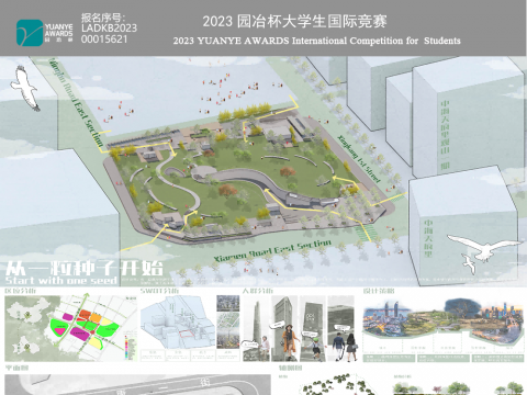从一粒种子开始
