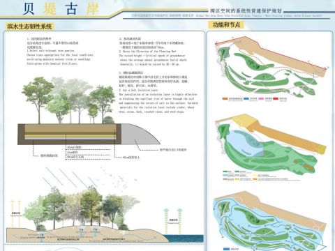 贝堤古岸——湾区空间的系统性营建保护规划