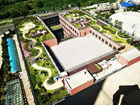 景山学校朝阳分校低碳屋顶花园