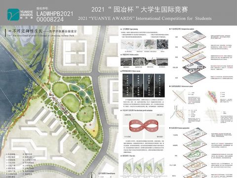 “∞”不可定向性生长