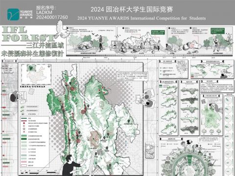 IFL FOREST——三江并流区域未侵扰森林生态修复计划