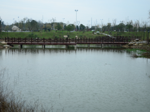 大别山珍稀植物园文峰公园三期
