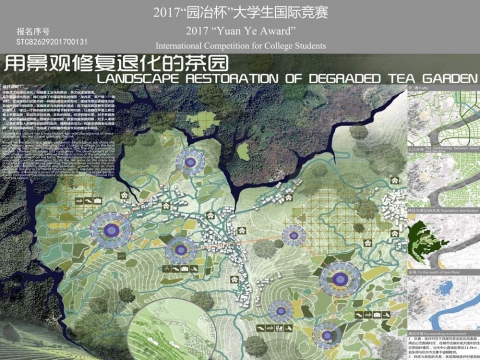 用景观修复退化的茶园