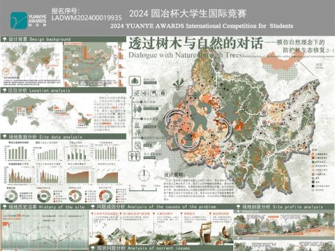 透过树木与自然的对话