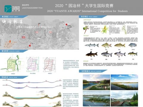 焕活新生——东营港三区盐碱地生态水系景观改造设计