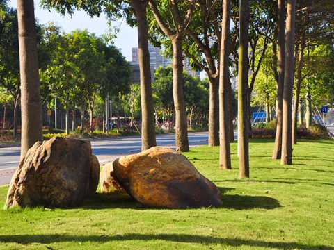 新区大道景观提升工程设计