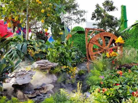 2018中国森林旅游节广东省展馆