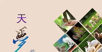 天梦之乡---孔雀谷