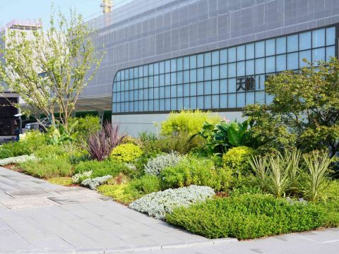 吴江WJ-J-2022-001号地块项目 展示区花境工程